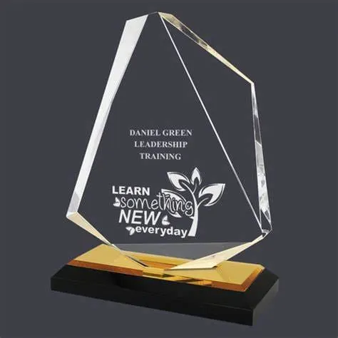 Acrylic Award Plaque Blank Acrylic Award Acrylic Trophy - clear