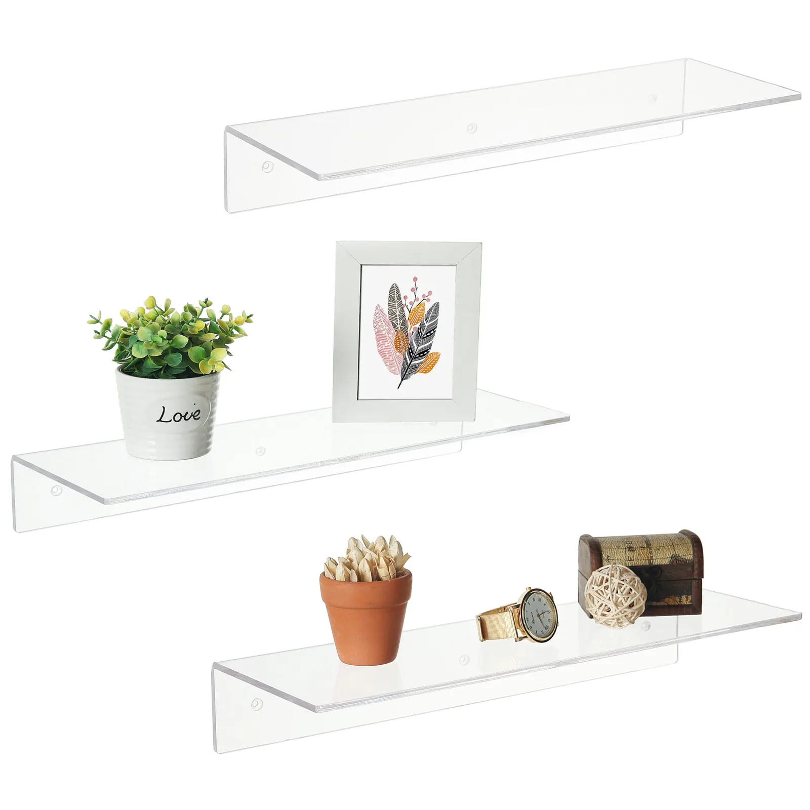 Clear wall shelves displaying plants, a photo frame and small objects